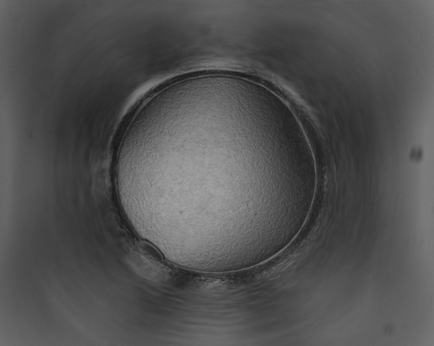 X0000089761222200707121356