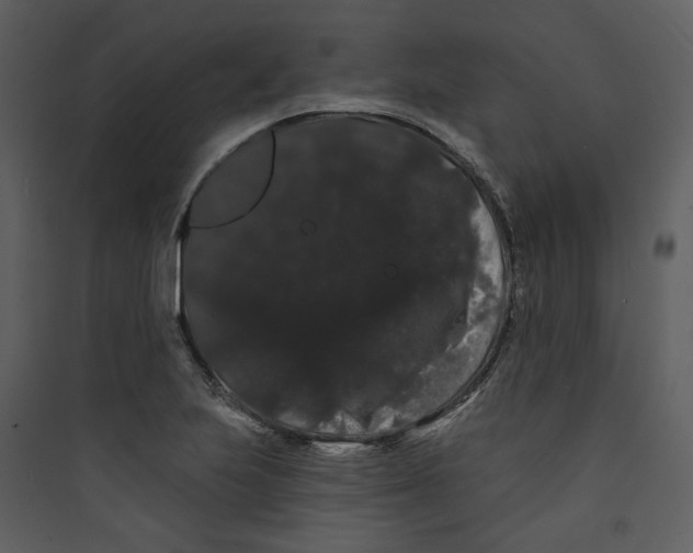 X0000089761223200707121356