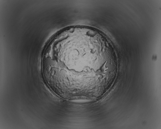 X0000089761224200707121356