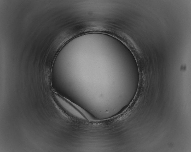 X0000089761225200707121356