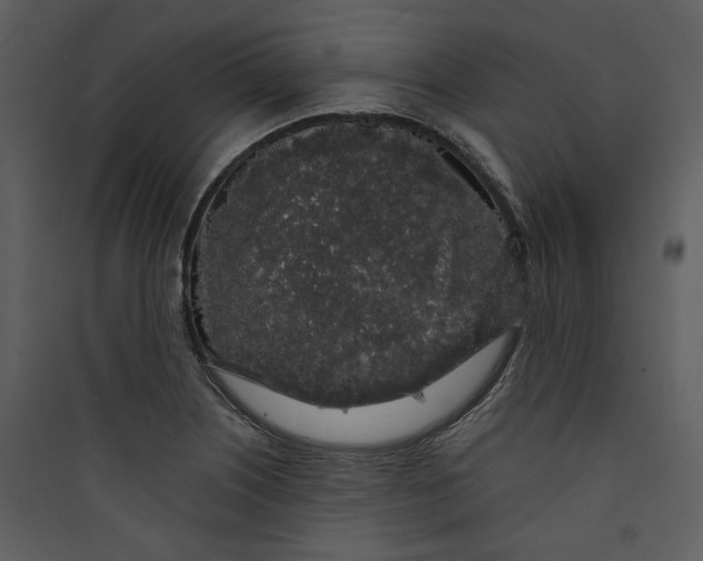 X0000089761226200707121356