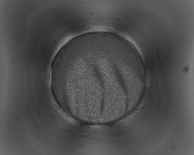 X0000089761227200707121356