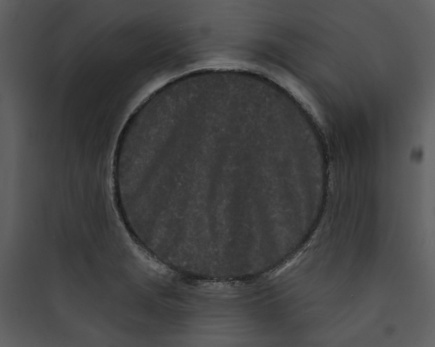 X0000089761229200707121356