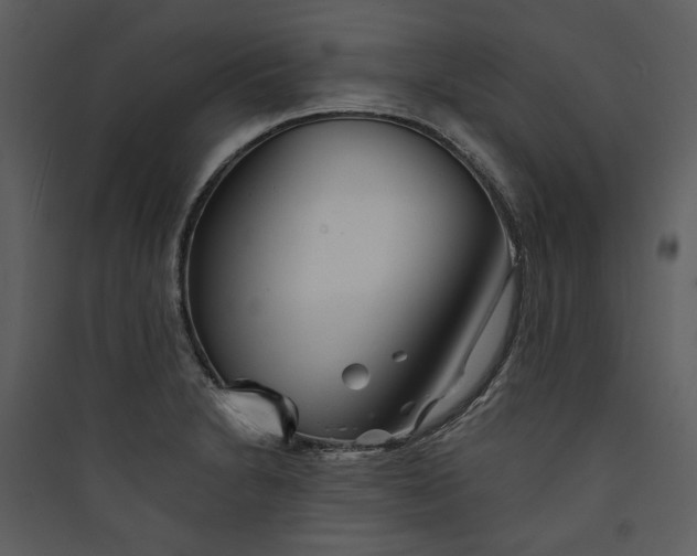 X0000089761230200707121356