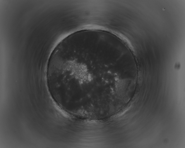 X0000089761231200707121356