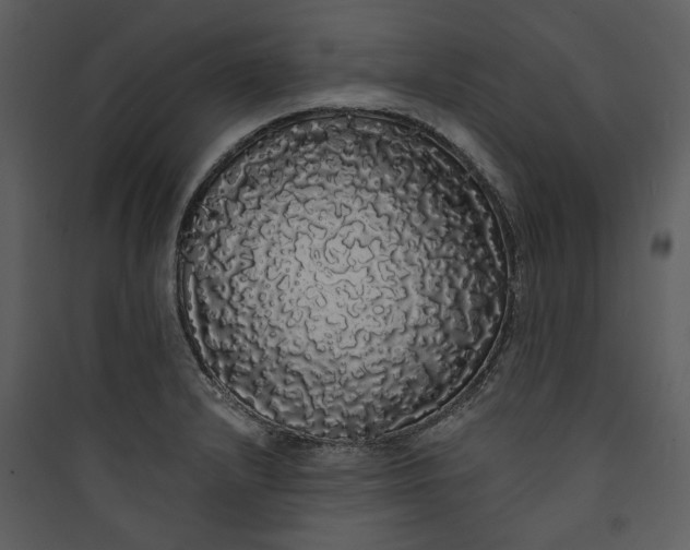 X0000089761232200707121356