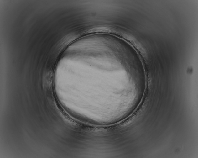 X0000089761233200707121356