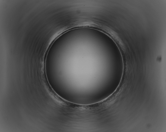 X0000089761234200707121356