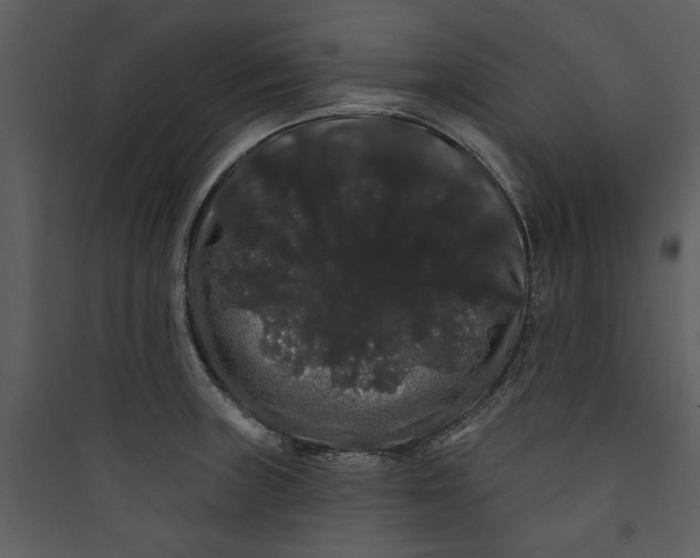 X0000089761235200707121356