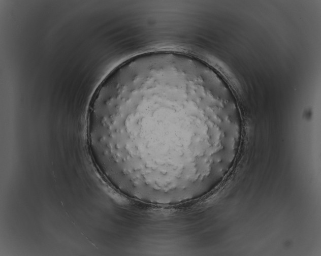 X0000089761236200707121356