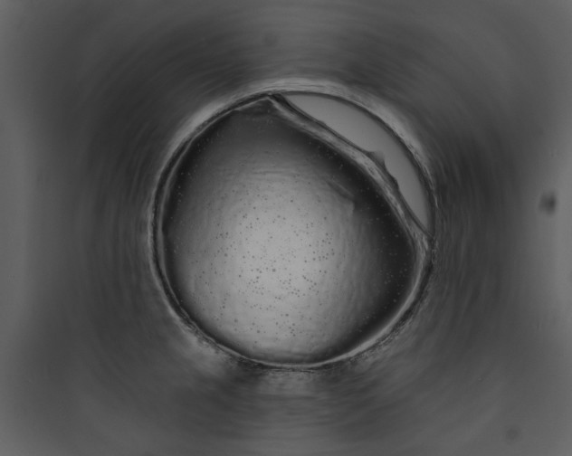 X0000089761237200707121356