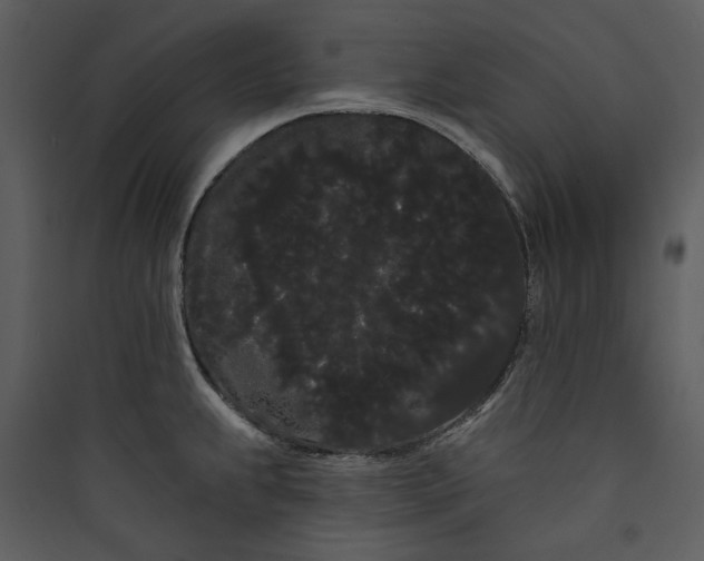 X0000089761239200707121356