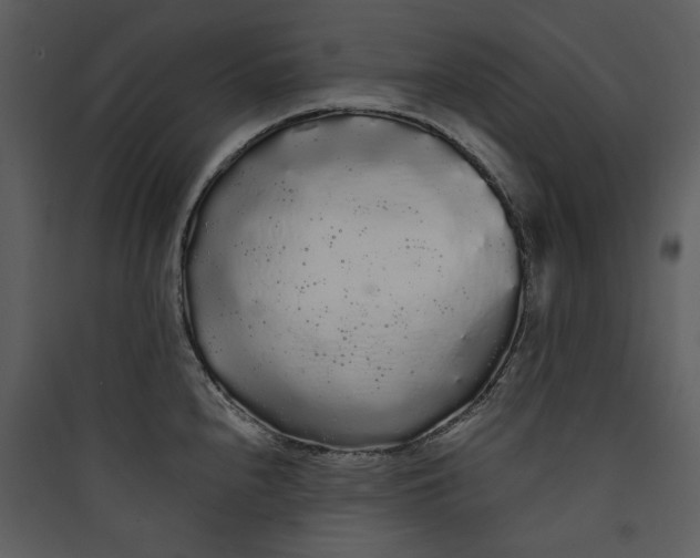 X0000089761240200707121356