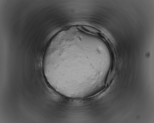 X0000089761241200707121356