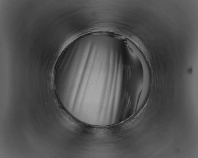 X0000089761242200707121356