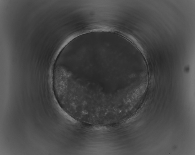 X0000089761243200707121356