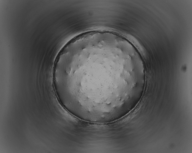 X0000089761244200707121356