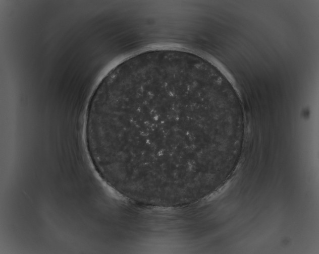 X0000089761245200707121356