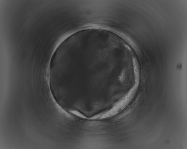 X0000089761247200707121356