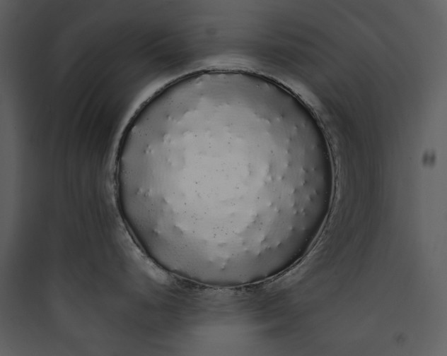 X0000089761248200707121356