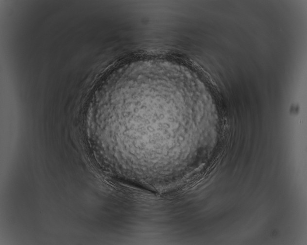 X0000089761249200707121355