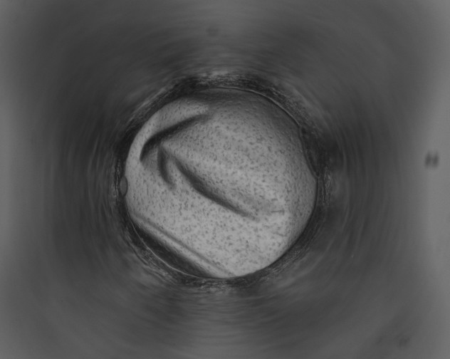 X0000089761250200707121355