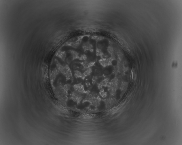 X0000089761251200707121355