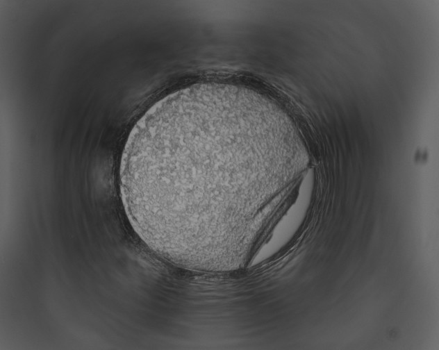 X0000089761252200707121355