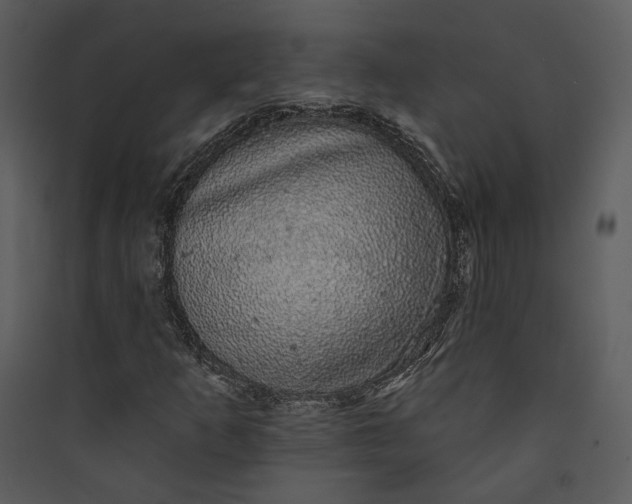 X0000089761253200707121355