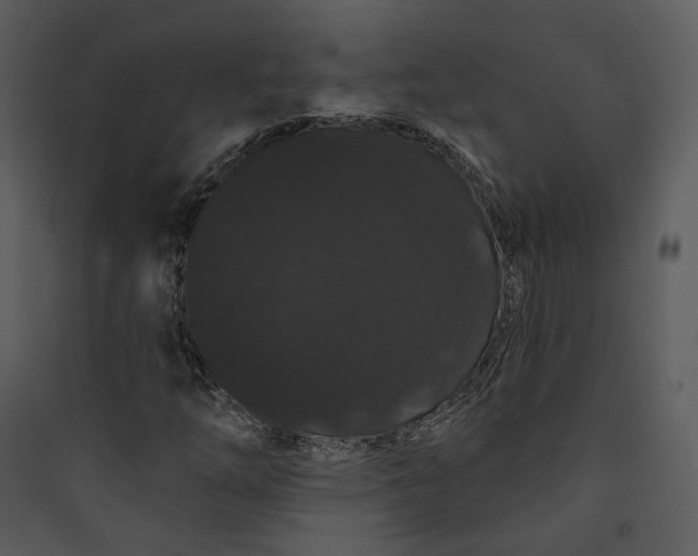 X0000089761254200707121355