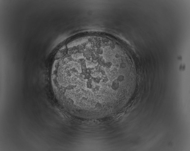 X0000089761255200707121355