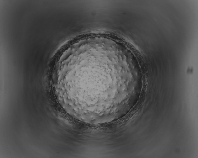 X0000089761256200707121355