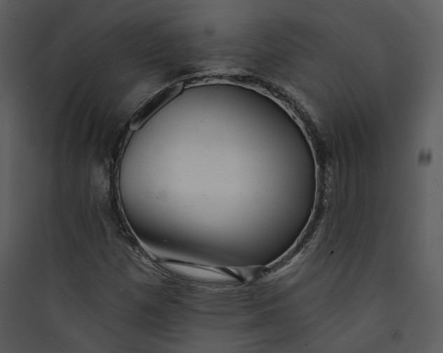 X0000089761257200707121355