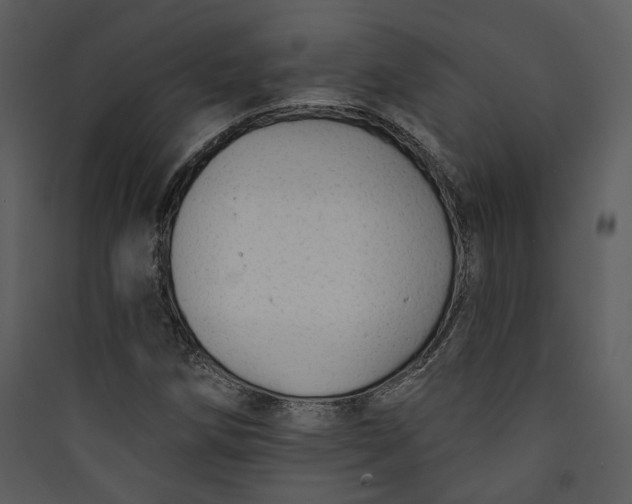 X0000089761258200707121355