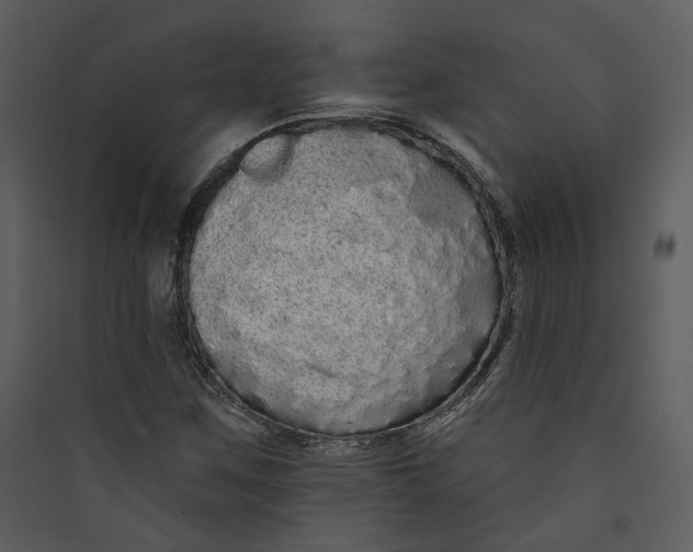 X0000089761259200707121355