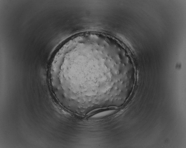 X0000089761260200707121355