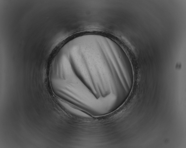 X0000089761261200707121355