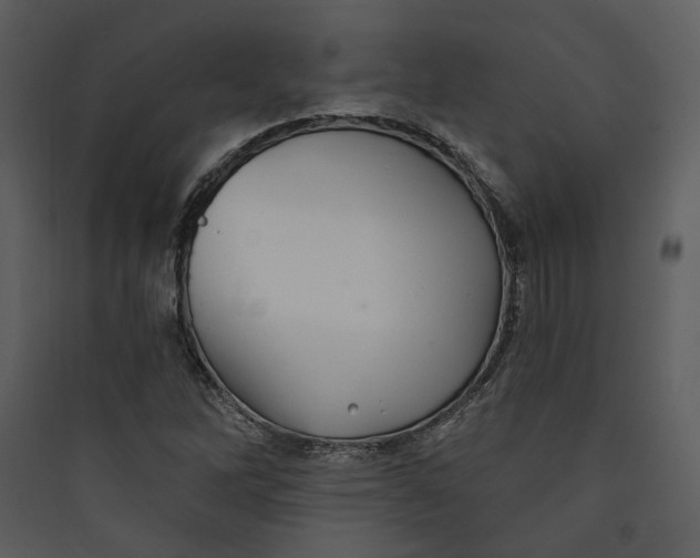 X0000089761262200707121355