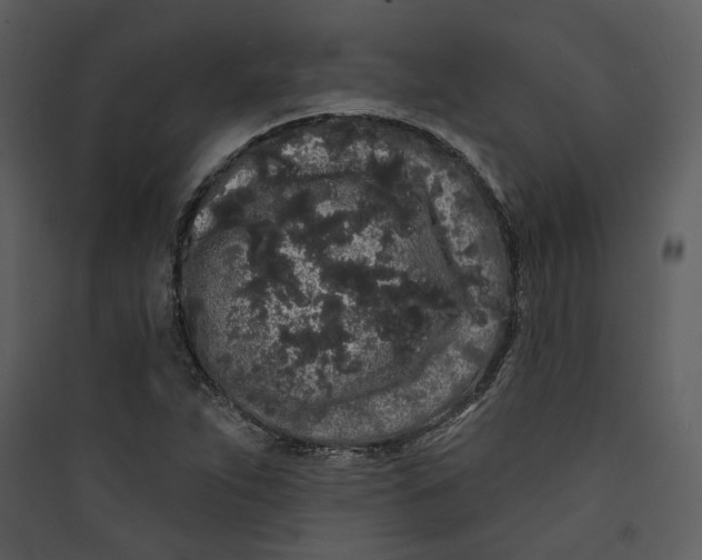 X0000089761263200707121355