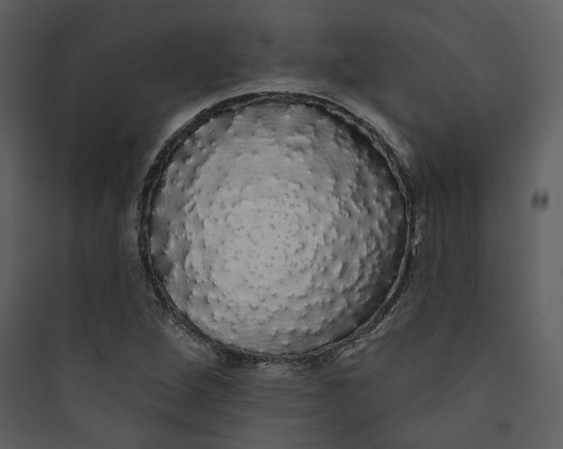 X0000089761264200707121355