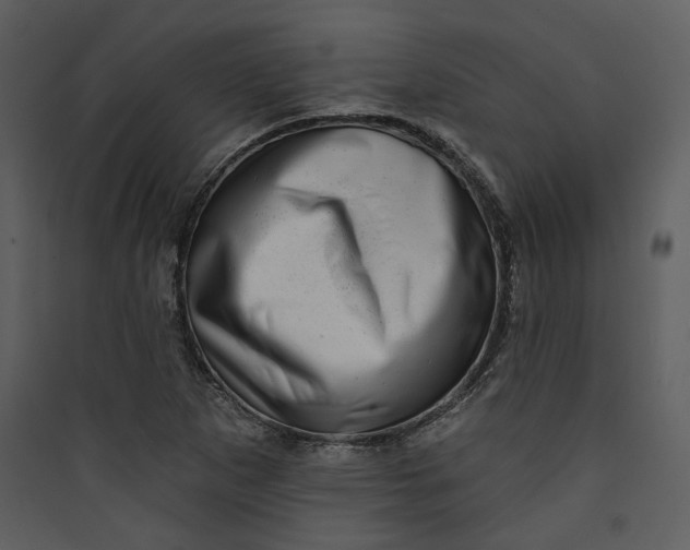 X0000089761265200707121355