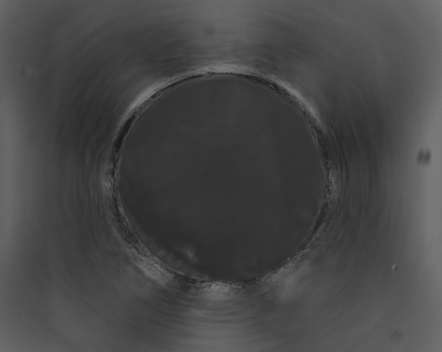 X0000089761266200707121355