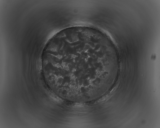 X0000089761267200707121355