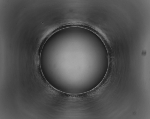 X0000089761269200707121355