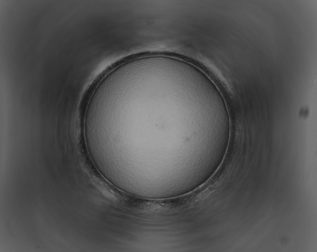 X0000089761270200707121355