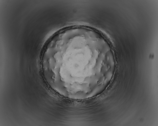 X0000089761271200707121355