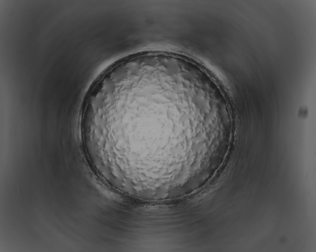 X0000089761272200707121355