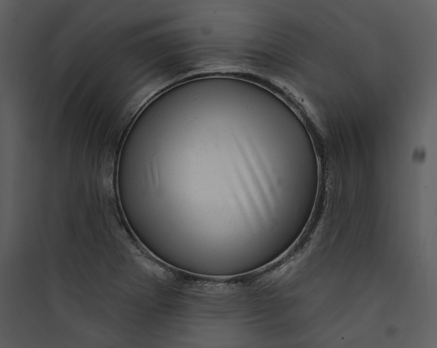 X0000089761273200707121355