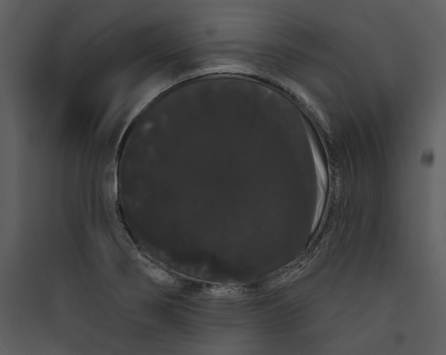 X0000089761274200707121355