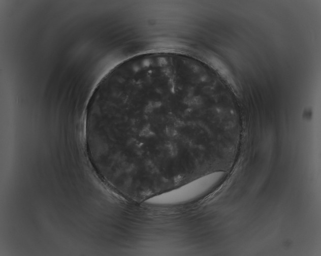 X0000089761275200707121355